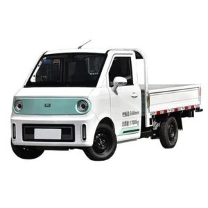 MINI TRUCK 2025